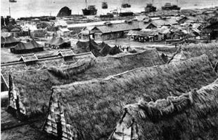 1950년대 부산항 부근에 자리 잡은 움막집